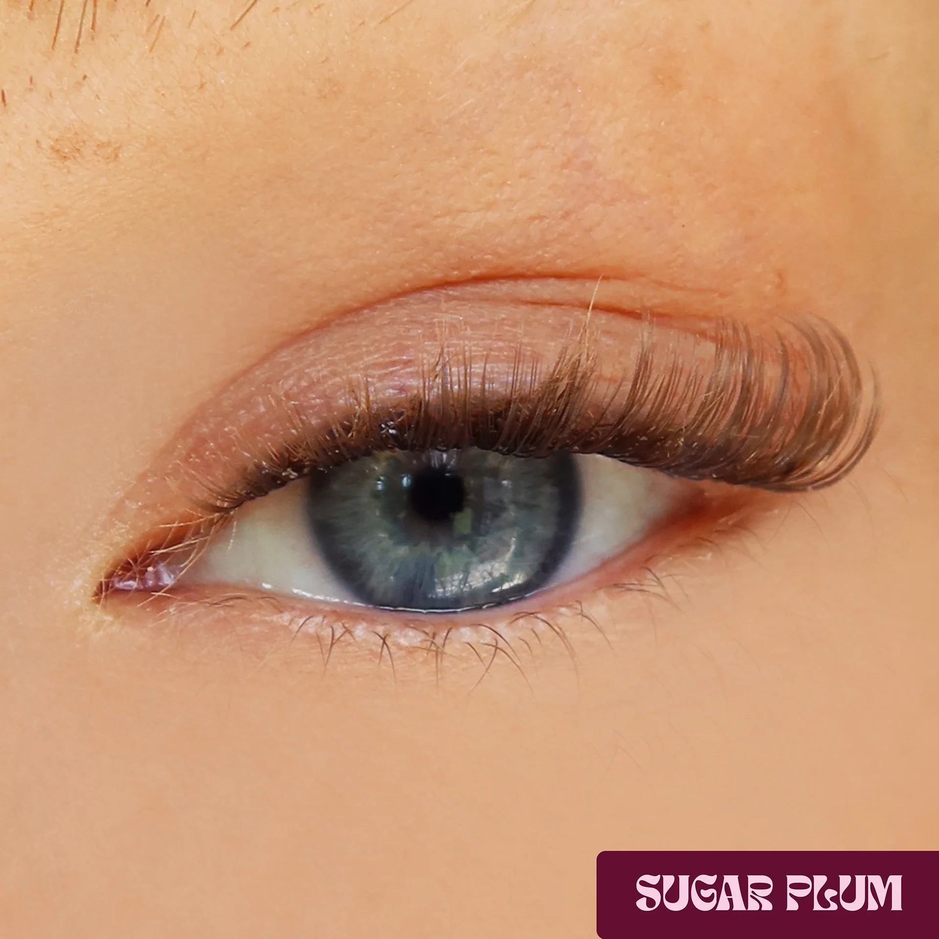 Sugar Plum DIY Lash-Extensions in Braun aufgetragen für einen extra natürlichen soften Augenaufschlag