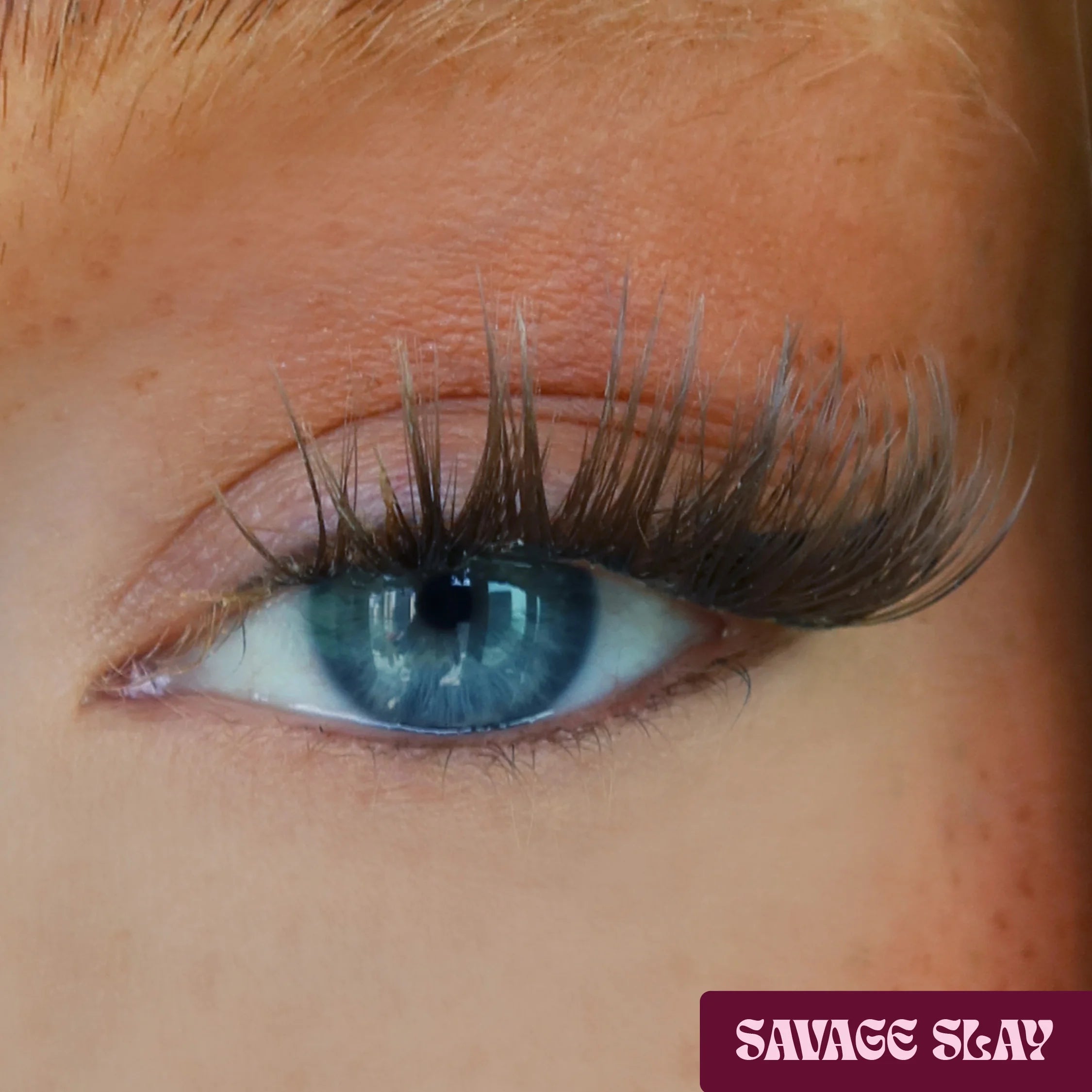 Savage Slay DIY Lash-Extensions in Braun aufgetragen für einen softeren dramatischen Lash-Look