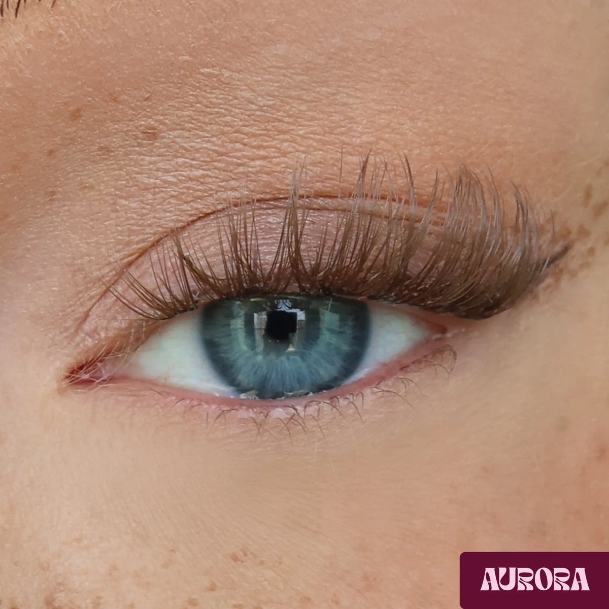 Pretty Princess Aurora DIY Lash-Extensions in Braun aufgetragen für einen soften harmonischen Lash-Look