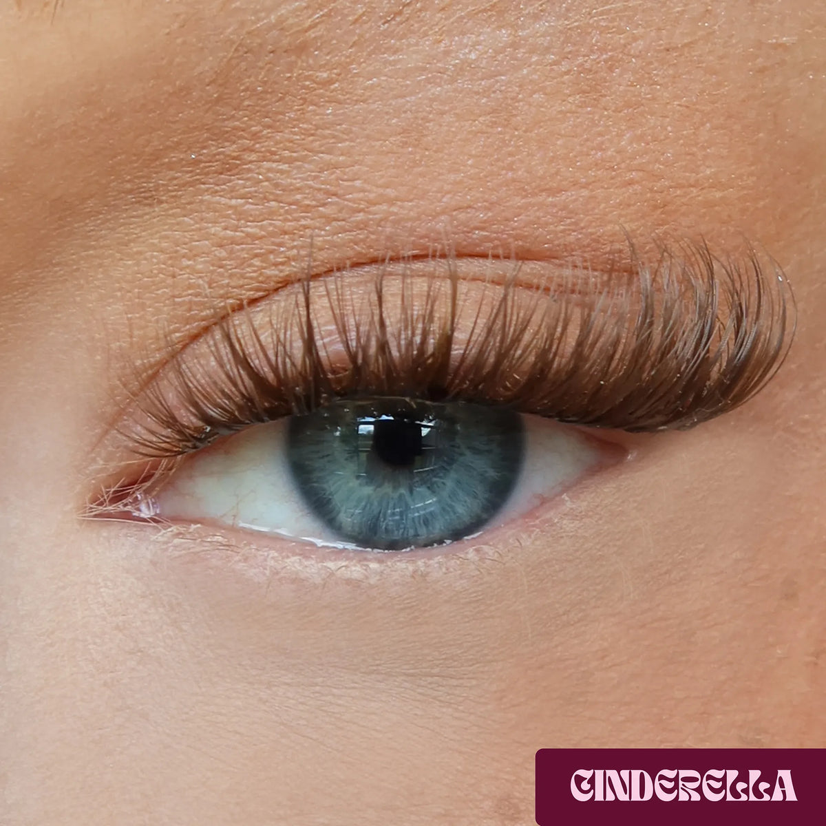 Pretty Princess Cinderella DIY Lash-Extensions in Braun aufgetragen für einen soften harmonischen Lash-Look