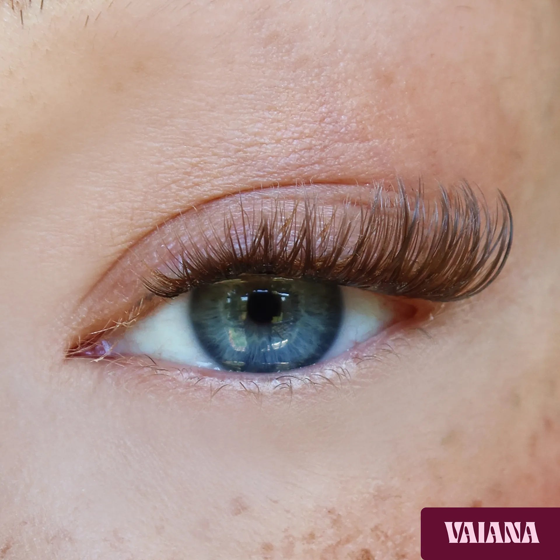 Pretty Princess Vaiana DIY Lash-Extensions in Braun aufgetragen für einen soften harmonischen Lash-Look